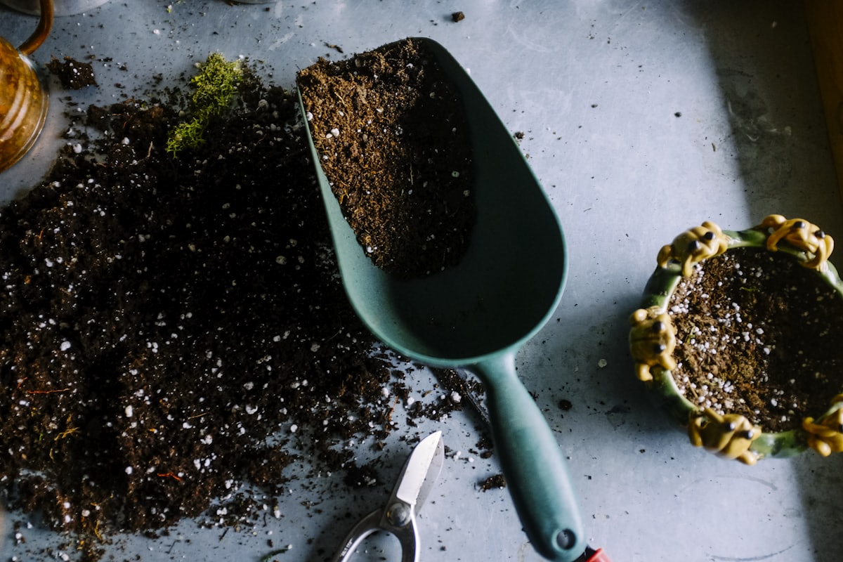 Landscaping & Lawn Care